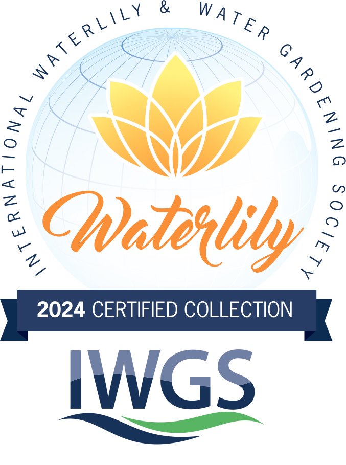 IWGS_LotusWaterlily_2024Waterlilly IWGS_LotusWaterlily_2024Waterlilly