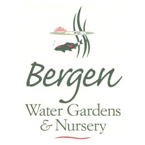 bergen bergen