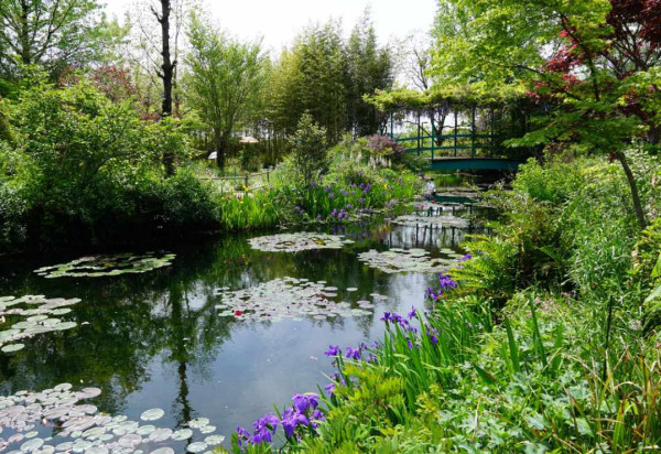 Glittering Prizes Across And On The Pond—The RHS Awards Of Garden Merit 2022